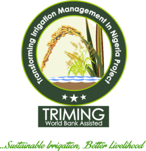 TRIMING PROJECT